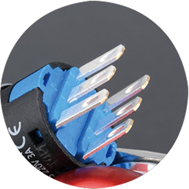 Zhejiang Wandu Electric Co., Ltd.